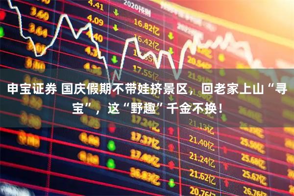 申宝证券 国庆假期不带娃挤景区，回老家上山“寻宝”，这“野趣”千金不换！