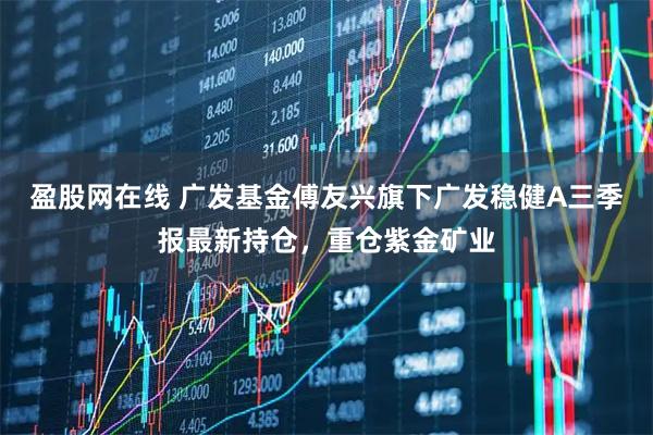 盈股网在线 广发基金傅友兴旗下广发稳健A三季报最新持仓，重仓紫金矿业
