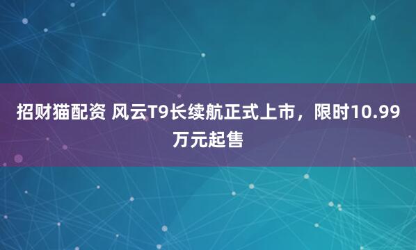 招财猫配资 风云T9长续航正式上市，限时10.99万元起售