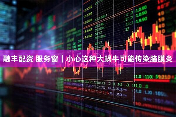 融丰配资 服务窗｜小心这种大蜗牛可能传染脑膜炎