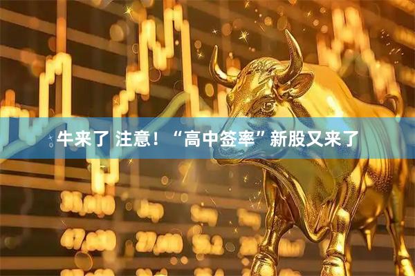 牛来了 注意！“高中签率”新股又来了